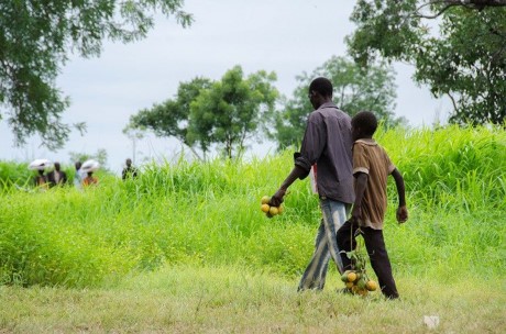 Около 900 тысяч человек покинули Южный Судан из-за эскалации конфликта - ảnh 1